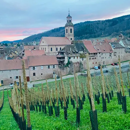 Richovilare - Sauna & Hammam Riquewihr