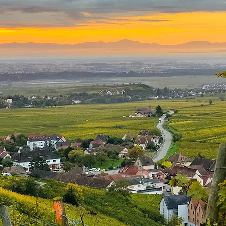 Richovilare - Sauna & Hammam