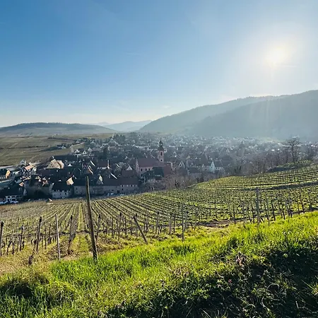 Richovilare - Sauna & Hammam